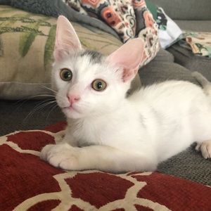 Meet your Posher, Kendra